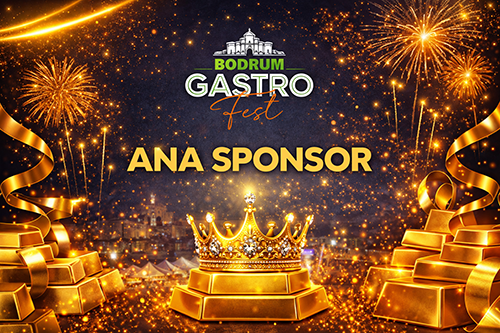 ANA SPONSOR